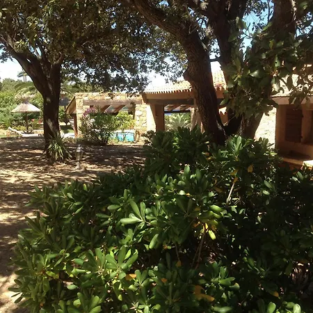 Willa A Scopa A En Corse Avec Piscine Chauffee, Vue Panoramique, Climatisation, Jardin Arbore De 3000m2, 10 Pers, 5 Chb, 4 Sdb *