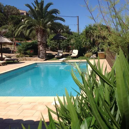 A Scopa A En Corse Avec Piscine Chauffee, Vue Panoramique, Climatisation, Jardin Arbore De 3000m2, 10 Pers, 5 Chb, 4 Sdb Willa
