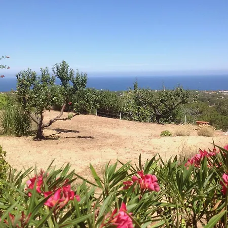 A Scopa A En Corse Avec Piscine Chauffee, Vue Panoramique, Climatisation, Jardin Arbore De 3000m2, 10 Pers, 5 Chb, 4 Sdb