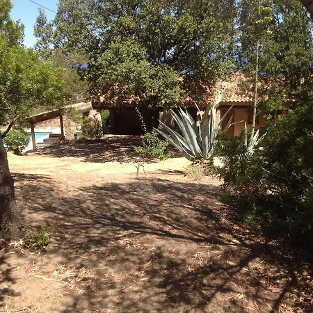 A Scopa A En Corse Avec Piscine Chauffee, Vue Panoramique, Climatisation, Jardin Arbore De 3000m2, 10 Pers, 5 Chb, 4 Sdb Willa *