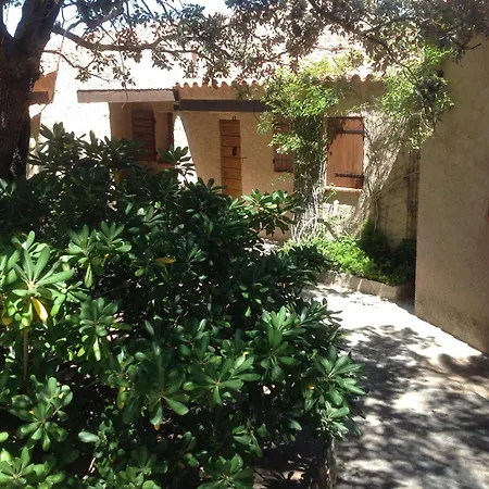 A Scopa A En Corse Avec Piscine Chauffee, Vue Panoramique, Climatisation, Jardin Arbore De 3000m2, 10 Pers, 5 Chb, 4 Sdb Willa