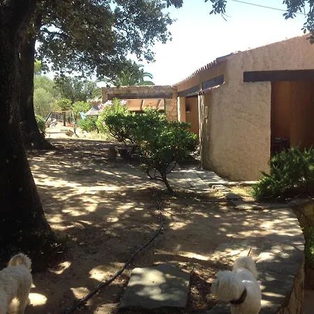 Willa A Scopa A En Corse Avec Piscine Chauffee, Vue Panoramique, Climatisation, Jardin Arbore De 3000m2, 10 Pers, 5 Chb, 4 Sdb Lumio (Corsica)