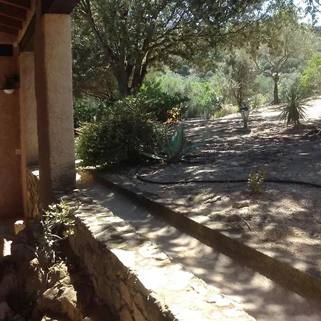 A Scopa A En Corse Avec Piscine Chauffee, Vue Panoramique, Climatisation, Jardin Arbore De 3000m2, 10 Pers, 5 Chb, 4 Sdb * Lumio (Corsica)