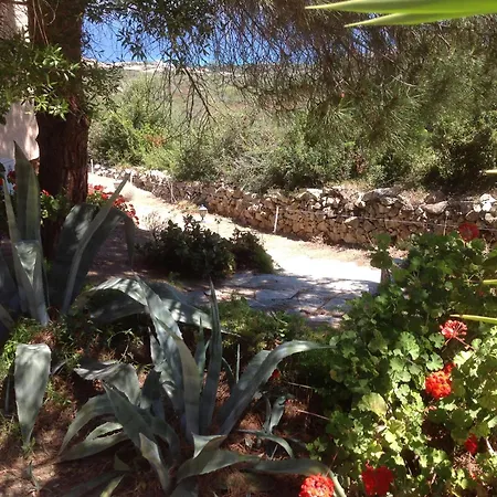 A Scopa A En Corse Avec Piscine Chauffee, Vue Panoramique, Climatisation, Jardin Arbore De 3000m2, 10 Pers, 5 Chb, 4 Sdb