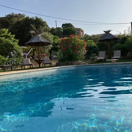 A Scopa A En Corse Avec Piscine Chauffee, Vue Panoramique, Climatisation, Jardin Arbore De 3000m2, 10 Pers, 5 Chb, 4 Sdb