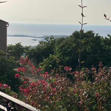 A Scopa A En Corse Avec Piscine Chauffee, Vue Panoramique, Climatisation, Jardin Arbore De 3000m2, 10 Pers, 5 Chb, 4 Sdb *