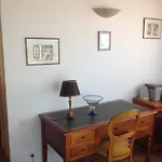 A Scopa A En Corse Avec Piscine Chauffee, Vue Panoramique, Climatisation, Jardin Arbore De 3000m2, 10 Pers, 5 Chb, 4 Sdb Villa