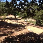 A Scopa A En Corse Avec Piscine Chauffee, Vue Panoramique, Climatisation, Jardin Arbore De 3000m2, 10 Pers, 5 Chb, 4 Sdb * Lumio (Corsica)