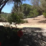 Villa A Scopa A En Corse Avec Piscine Chauffee, Vue Panoramique, Climatisation, Jardin Arbore De 3000m2, 10 Pers, 5 Chb, 4 Sdb