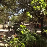 Villa A Scopa A En Corse Avec Piscine Chauffee, Vue Panoramique, Climatisation, Jardin Arbore De 3000m2, 10 Pers, 5 Chb, 4 Sdb