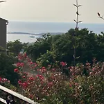 A Scopa A En Corse Avec Piscine Chauffee, Vue Panoramique, Climatisation, Jardin Arbore De 3000m2, 10 Pers, 5 Chb, 4 Sdb *