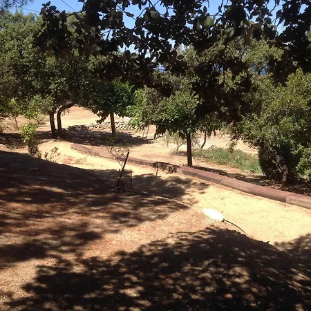 Ascopa * Lumio (Corsica)