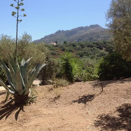 Vila A Scopa A En Corse Avec Piscine Chauffee, Vue Panoramique, Climatisation, Jardin Arbore De 3000m2, 10 Pers, 5 Chb, 4 Sdb *