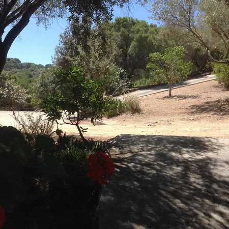 Vila A Scopa A En Corse Avec Piscine Chauffee, Vue Panoramique, Climatisation, Jardin Arbore De 3000m2, 10 Pers, 5 Chb, 4 Sdb