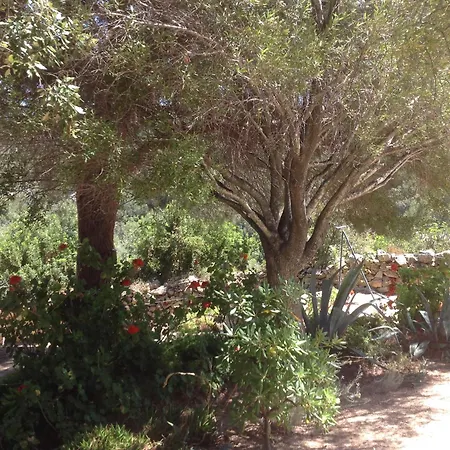 Villa Ascopa Lumio (Corsica)