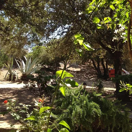 Villa Ascopa