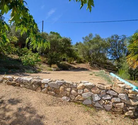 A Scopa A En Corse Avec Piscine Chauffee, Vue Panoramique, Climatisation, Jardin Arbore De 3000m2, 10 Pers, 5 Chb, 4 Sdb * Lumio (Corsica)